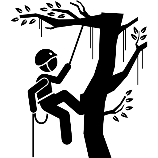 Arborist Services Perth