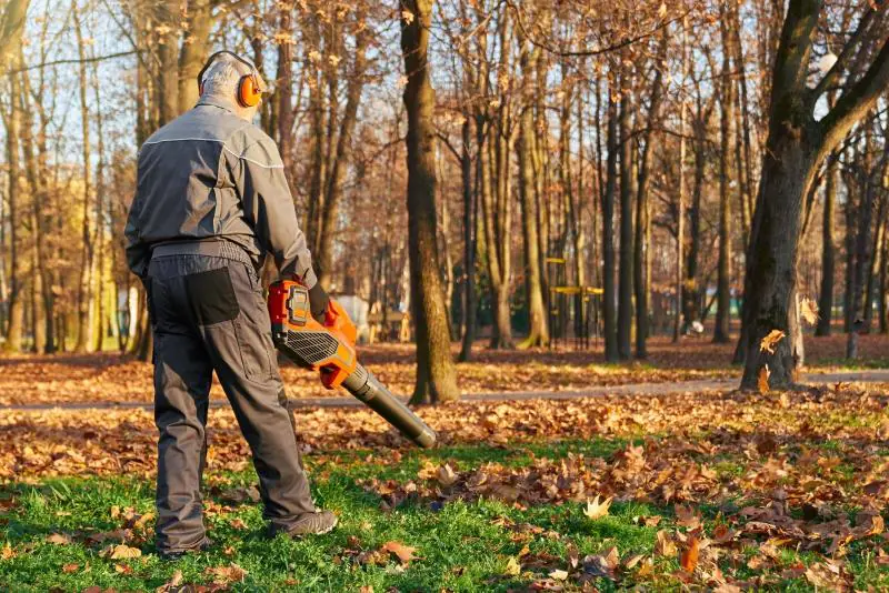 Senior man using leaf blower in city park during October. Tree lopping and autumn leaf removal.