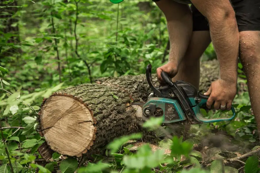 man-with-chainsaw-cuts-tree