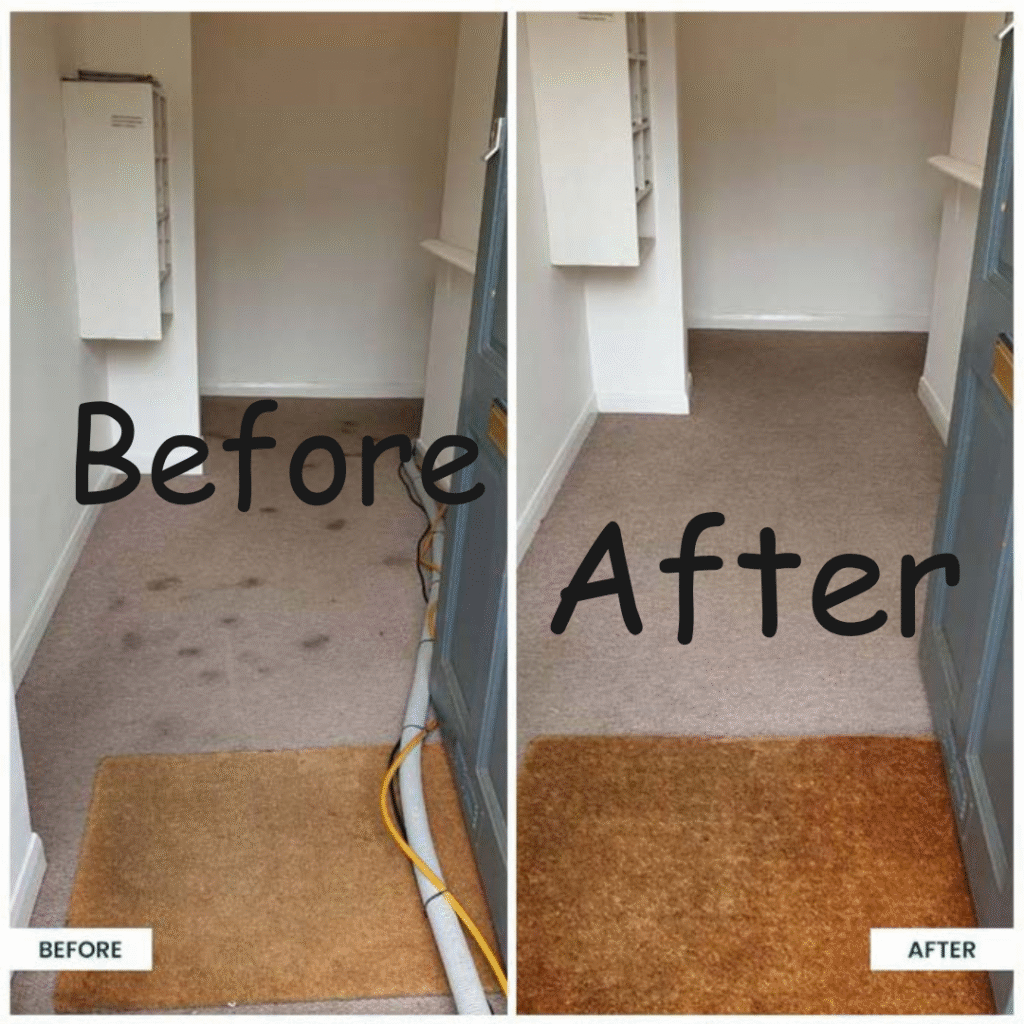 Before and after carpet cleaning