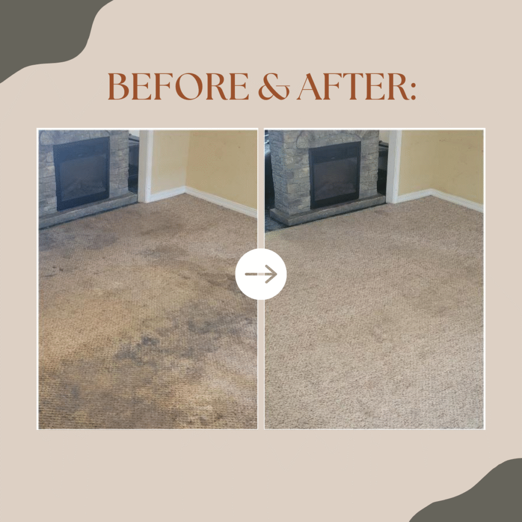 Before after carpet cleaning 