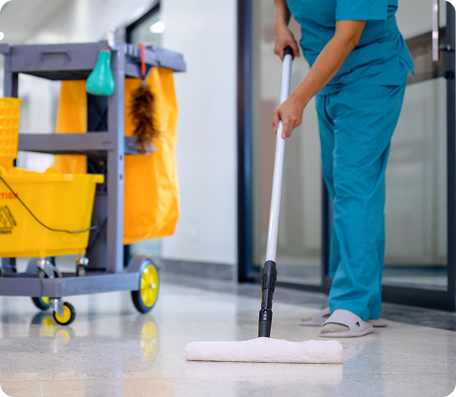 Deep Cleaning Queens Park